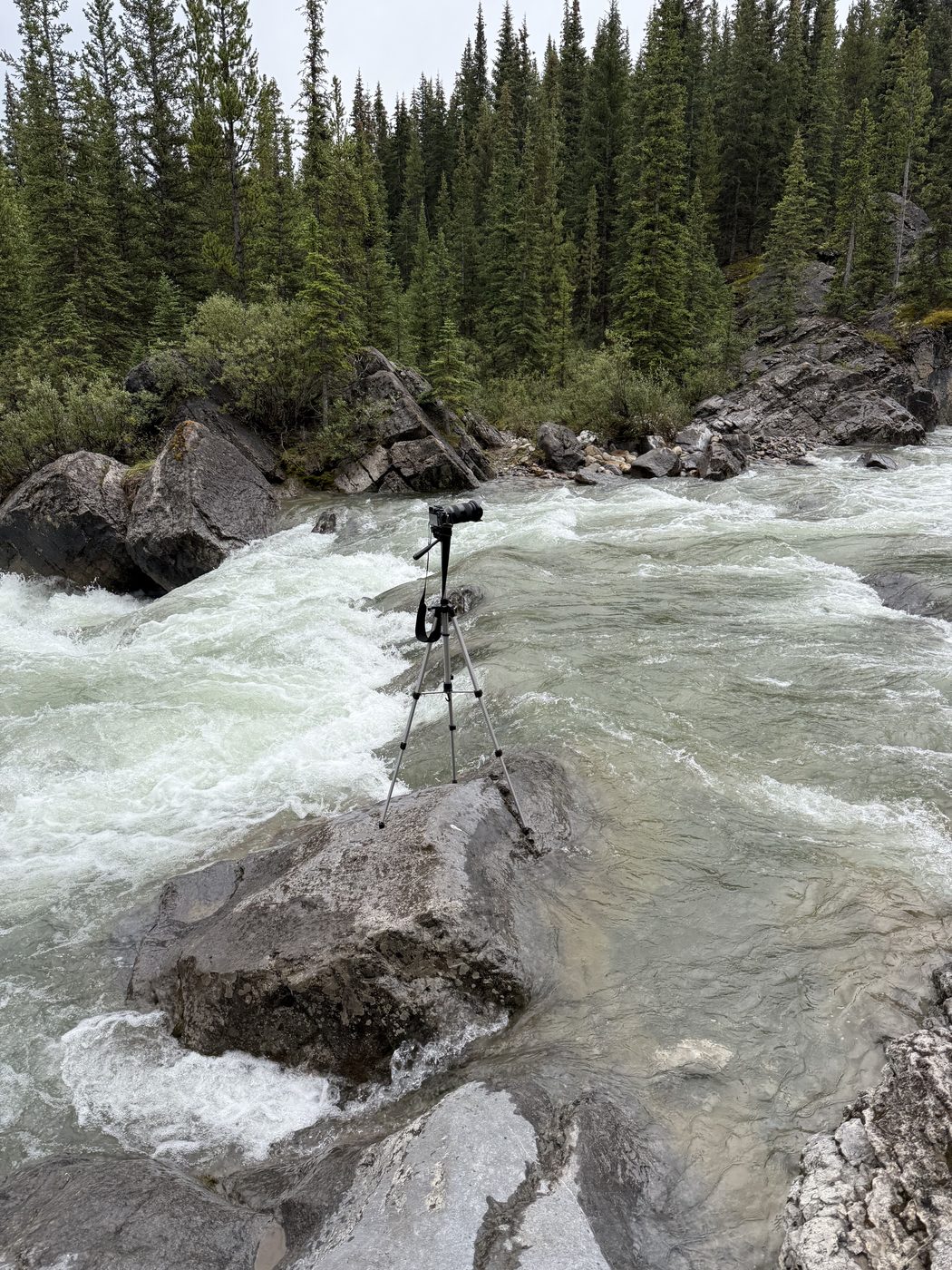 A camera on a small tripod, set up on a rock in the middle of a fast, white-water mountain creek with spruce forest behind