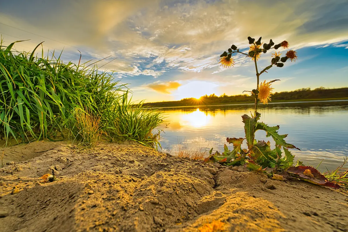Beauty in All, Saskatchewan, photograph by Micheal Lander