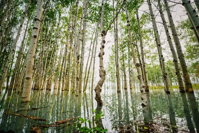 Dancing By Myself, photograph by Micheal Lander