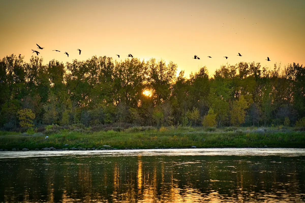 Early birds, Saskatchewan, photograph by Micheal Lander