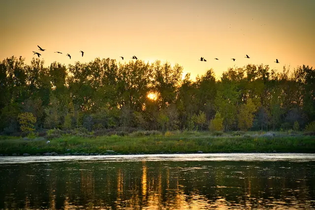 Early birds, photograph by Micheal Lander