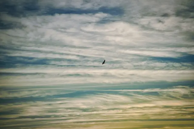 Free Falling, photograph by Micheal Lander