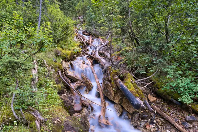 Not Whiskey-jack Creek 1, photograph by Micheal Lander