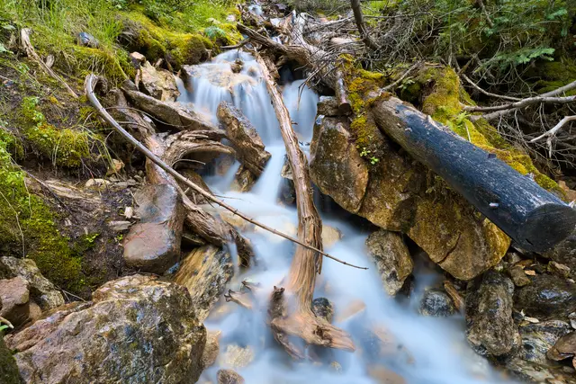 Not Whiskey-jack Creek 2, photograph by Micheal Lander