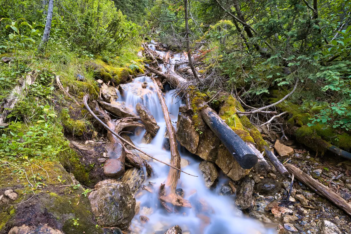 Not Whiskey-jack Creek 3, British Columbia, photograph by Micheal Lander