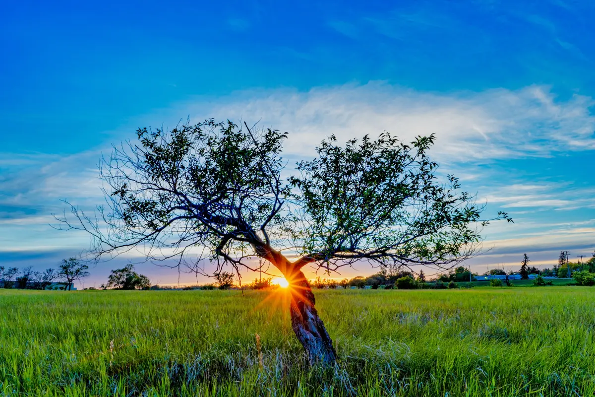 Solar Heart, Saskatchewan, photograph by Micheal Lander