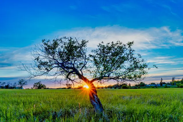 Solar Heart, photograph by Micheal Lander