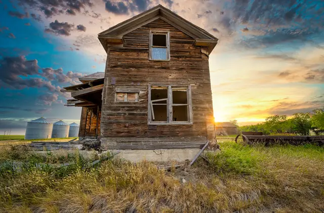 Standing Tall, photograph by Micheal Lander