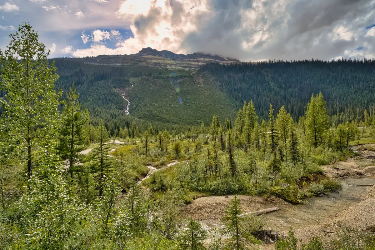 Takakkaw Side, Rocky Mountains, British Columbia, photograph by Micheal Lander