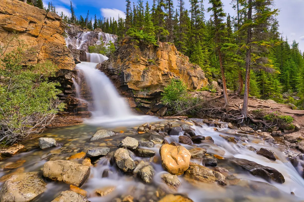 Tangle Creek 4, photograph by Micheal Lander