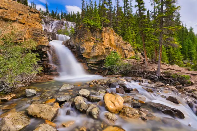 Tangle Creek 4, photograph by Micheal Lander