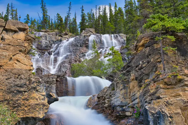 Tangle Creek 6, photograph by Micheal Lander