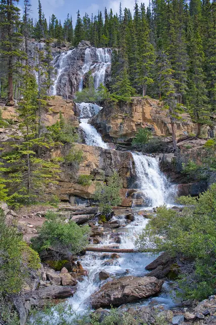Tangle Creek 7, photograph by Micheal Lander