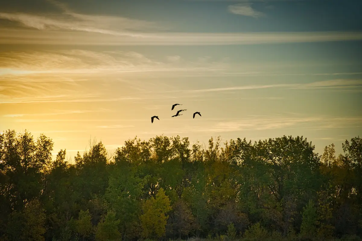 The Great Escape, Saskatchewan, photograph by Micheal Lander