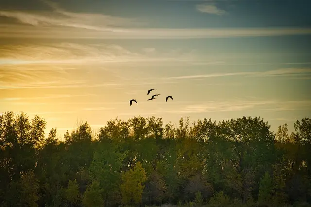 The Great Escape, photograph by Micheal Lander