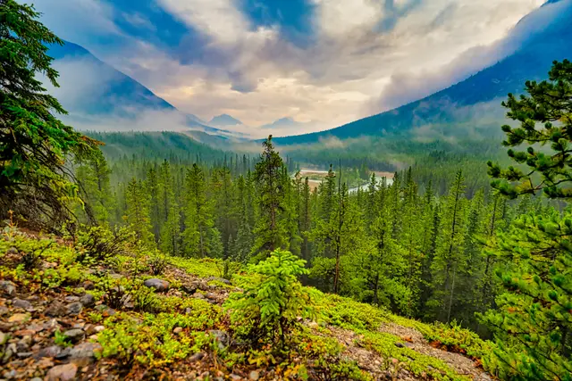 The Misty Morning, photograph by Micheal Lander