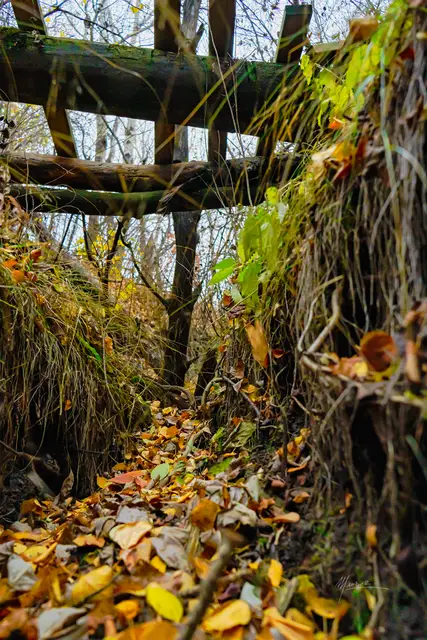 Under the Bridge, photograph by Micheal Lander
